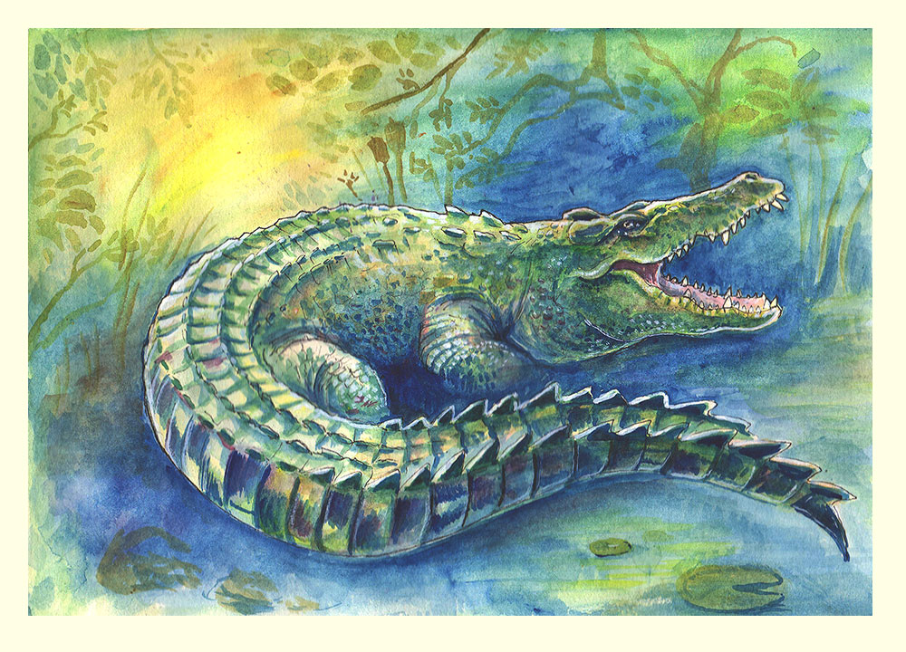 An alligator guards her nest from intruders
